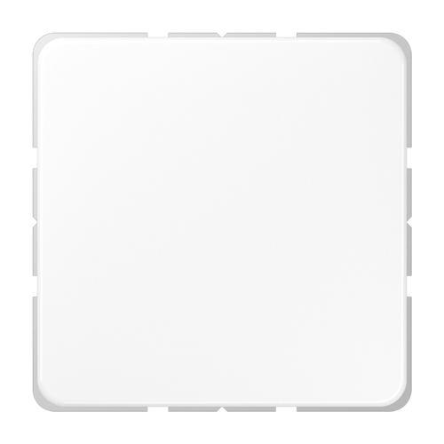 Jung Afdekking CD500 alpin wit blind - 4011377412903 - 20018258