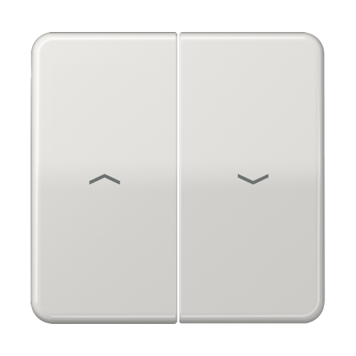 Jung Schakelwip CD500 li.grijs m.pijlsymbolen - 4011377576803 - 20018307