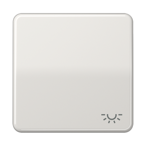 Jung Schakelwip CD500 li.grijs m.lichtsymbool - 4011377576902 - 20018210