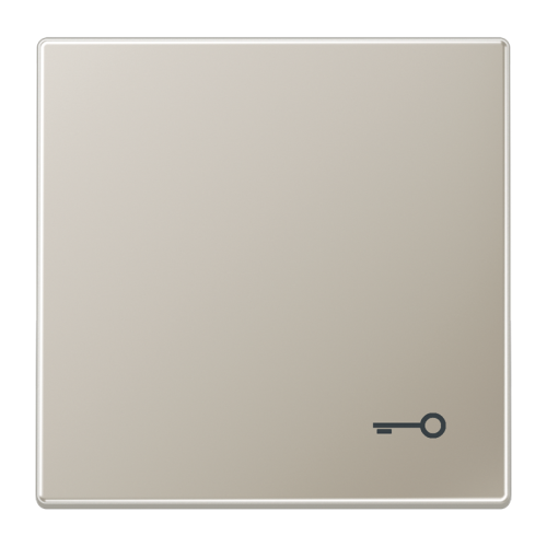 Jung Schakelwip LS-edelstaal m.symb. Sleutel - 4011377780002 - 20018657