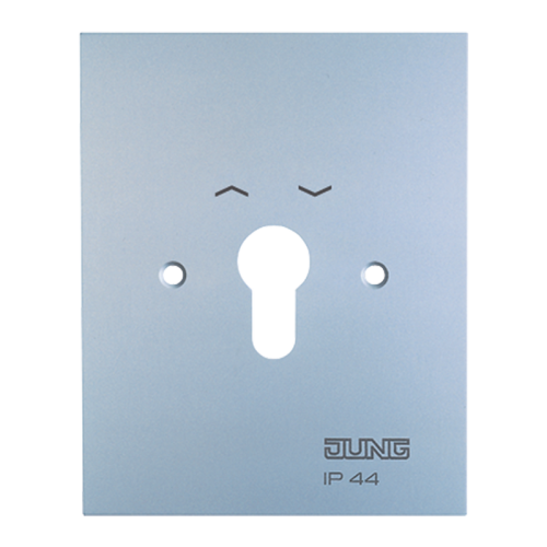 Jung Afd.raam metaal 125x100 mm m.pijlsymbool - 4011377880405 - 20014626
