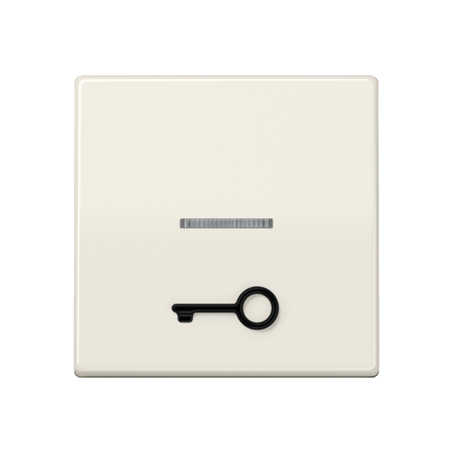 Jung Schakelwip AS500 wit m.lens&symb.sleutel - 4011377985902 - 20017200