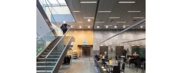 Laagvolt halogeenlamp zonder reflector