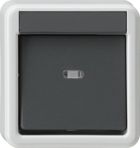 GIRA wissel schakelaar wd opbouw grijs 010635 - 55c558dfac05aeaea7c5c31fc091d953 - 3300412