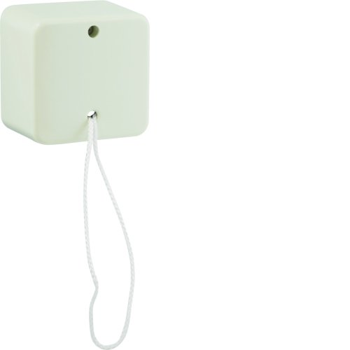 BERKER trekschakelaar wissel plafond opbouw wit 61390640 - 5ee1bdeabdb2bcf451a1510d9177fde9 - 11006573