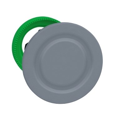 Schneider Electric flush mounted blanking plug - color plated grey - 66fe804012a5e32b88045a634e11897d - 20086585
