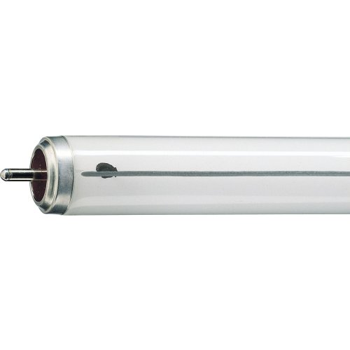 PHILIPS TL-X XL BUIS 40W/33 (21000 UUR) - 6ca86f26cb71995256f39cc912193442 - 11003440