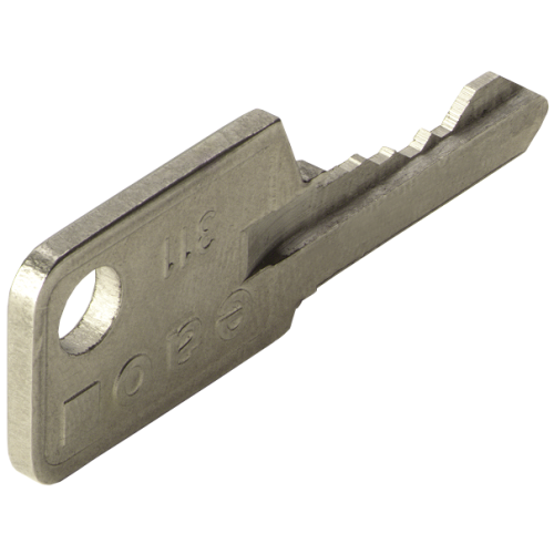EAO Reserve sleutel 311 - 7c63389376db70e9f0d25a8979263595 - 20042780