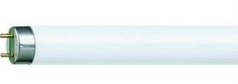 PHILIPS TL5 HE buis 14w/840 - 9450805 - 9319900