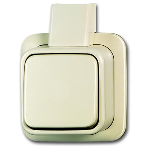 B&J wissel schak opb+plaat creme 2601/6 apj - 993fba880d5f00adb7615b1c2e5ce72b - 3131892