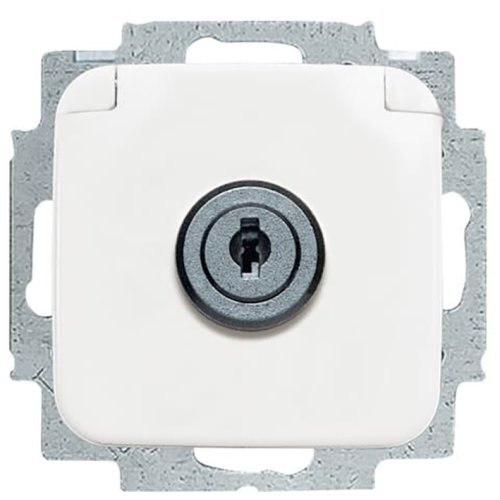 ABB Busch-Jaeger wcd ra cpl kd + slot inb R-alpin - 9paa00000164187 - 20090129