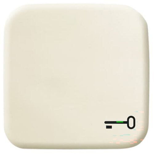 ABB Busch-Jaeger wip v pulsdr sleutelsymbool SI creme - 9paa00000164619 - 20088840