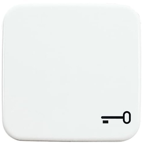 B&J wissel wip sleutel opdruk wit 2520 tr-214 - 9paa00000164620 - 11003804