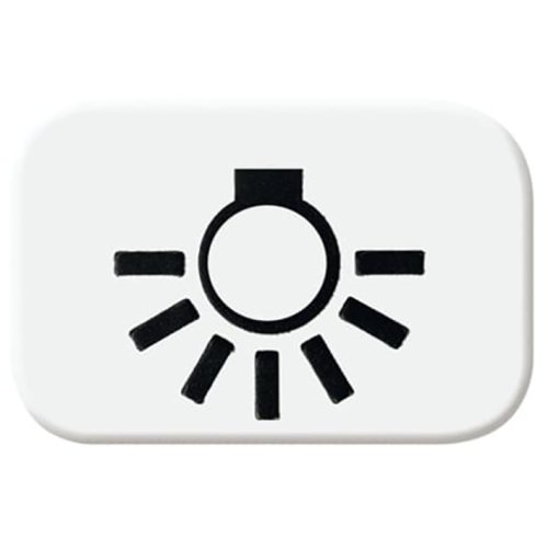 ABB Busch-Jaeger lichtsymbool R-alpin - 9paa00000164633 - 20088103
