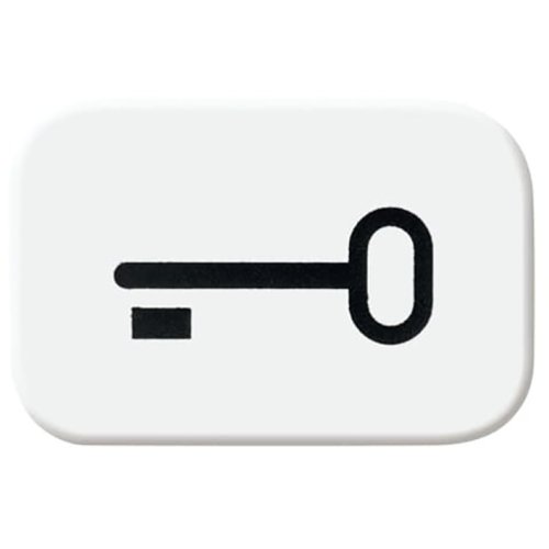 ABB Busch-Jaeger sleutelsymbool R-alpin - 9paa00000164637 - 20088105