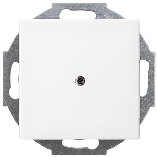 B&J blindplaat met kabeluitvoer 2527-914 - 9paa00000164645 - 11005827