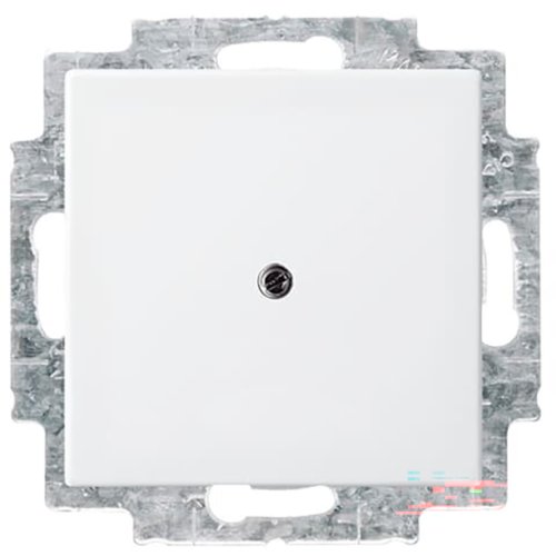 B&J centraalplaat blind wit 2538-914 - 9paa00000164682 - 3030223