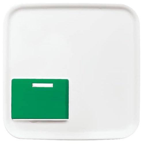 ABB Busch-Jaeger cpl v Ackermann nr 73642C R-alpin - 9paa00000164780 - 20088755