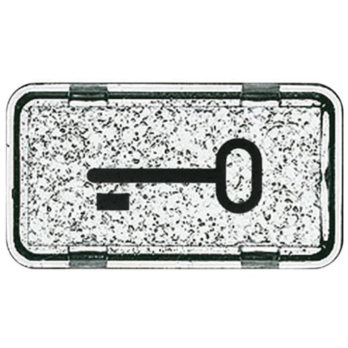 ABB Busch-Jaeger sleutelsymbool v wip 2106 IP44 - 9paa00000164952 - 20088574