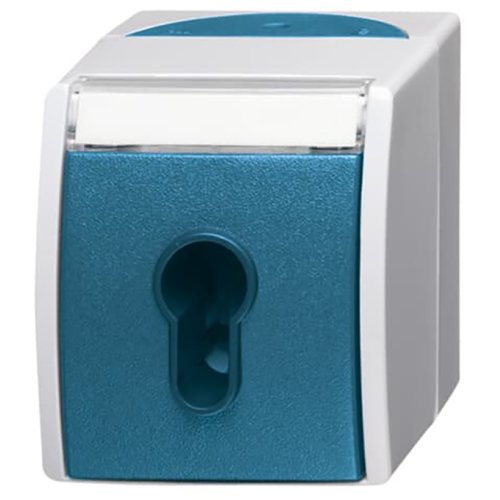 B&J opbouw sleutelschakelaar wd 2733 slw-53 - 9paa00000164975 - 3137343