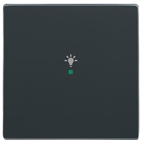ABB Busch-Jaeger FaH bedieningswip 1-v licht f-antraciet - 9paa00000165515 - 20090389