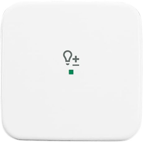ABB Busch-Jaeger FaH bedieningswip 1-v dimmer R-alpin - 9paa00000165600 - 20090434
