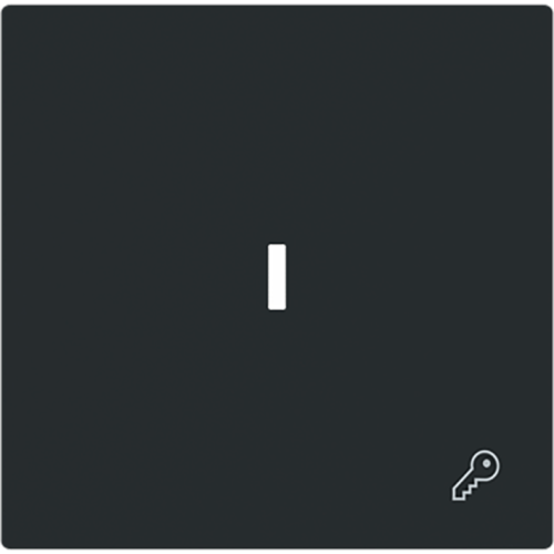 ABB Busch-Jaeger wip met lens v pulsdr key art-matzwart - 9paa00000171456 - 20089185