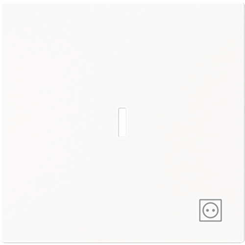 ABB Busch-Jaeger wip v wis contr wcdsymbool art-matwit - 9paa00000171465 - 20089187
