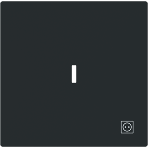 ABB Busch-Jaeger wip v wis contr wcdsymbool art-matzwart - 9paa00000171474 - 20089188