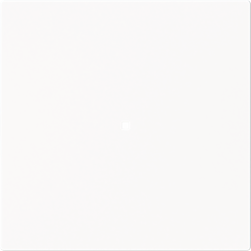 ABB Busch-Jaeger FaH bedieningswip 1-v art-matwit - 9paa00000171556 - 20090611