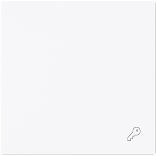 ABB Busch-Jaeger wip v pulsdr sleutelsymbool art-wit - 9paa00000171567 - 20089165