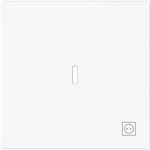 ABB Busch-Jaeger wip v wis contr wcdsymbool art-wit - 9paa00000171604 - 20089186