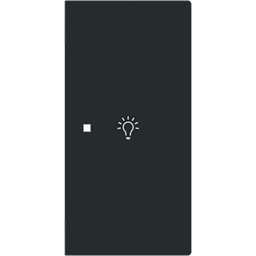 ABB Busch-Jaeger FaH bedieningswip rechts 2-v licht art-matzwart - 9paa00000171727 - 20090633