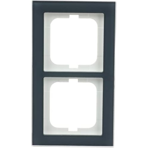 ABB Busch-Jaeger afdekraam 2v ax-glas oester - 9paa00000211932 - 20089677