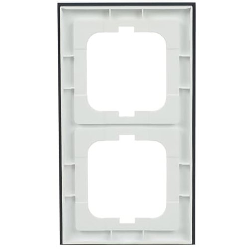 ABB Busch-Jaeger afdekraam 2v ax-glas oester - 9paa00000211935 - 20089677