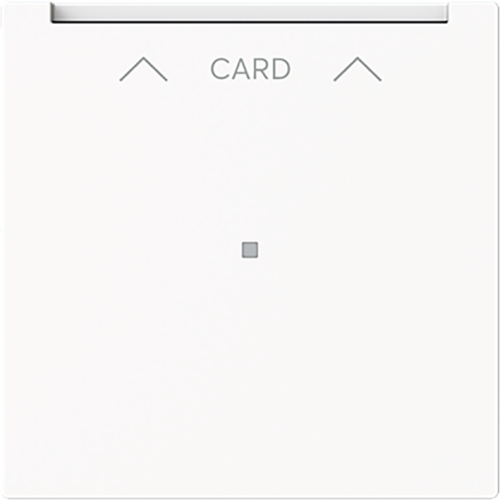 ABB Busch-Jaeger cpl v card-schakelaar art-matwit - 9paa00000232326 - 20088546