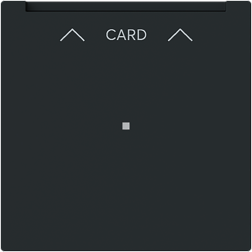 ABB Busch-Jaeger cpl v card-schakelaar art-matzwart - 9paa00000232329 - 20088547