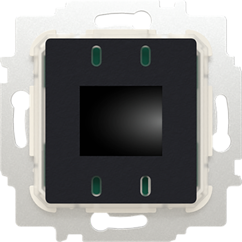 ABB Busch-Jaeger Ruimtethermostaat inb 24V AC BT - 9paa00000258886 - 20088027