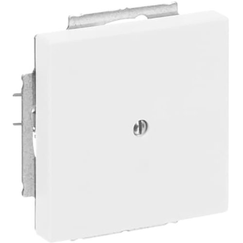 B&J centraalplaat blind matwit 1742-884 - 9paa00000273378 - 3131626