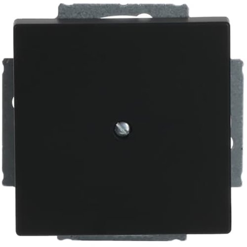 B&J centraalplaat blind matzwart 1742-885 - 9paa00000273404 - 3130324