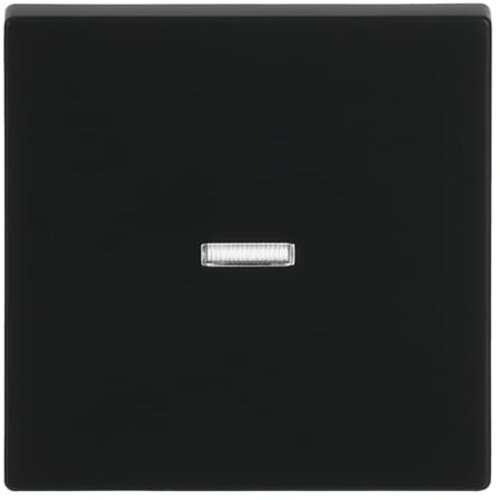 ABB Busch-Jaeger wip lens klein v wis f-matzwart - 9paa00000273586 - 20089103