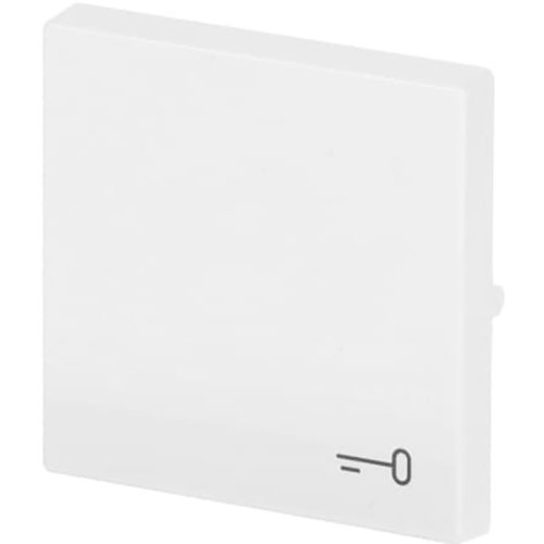 ABB Busch-Jaeger wip v pulsdr sleutelsymbool s-studiowit - 9paa00000273599 - 20089129