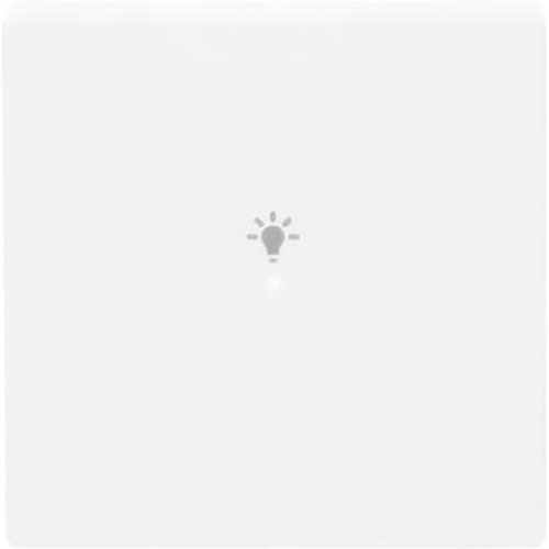 ABB Busch-Jaeger FaH bedieningswip 1-v licht s-studiowit - 9paa00000273794 - 20090391