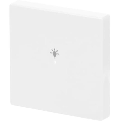 ABB Busch-Jaeger FaH bedieningswip 1-v licht s-studiowit - 9paa00000273795 - 20090391
