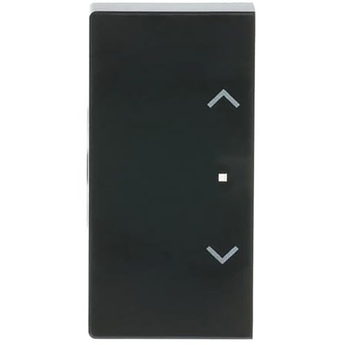ABB Busch-Jaeger FaH bedieningswip 2-v jaloezie f-antra - 9paa00000273825 - 20090407
