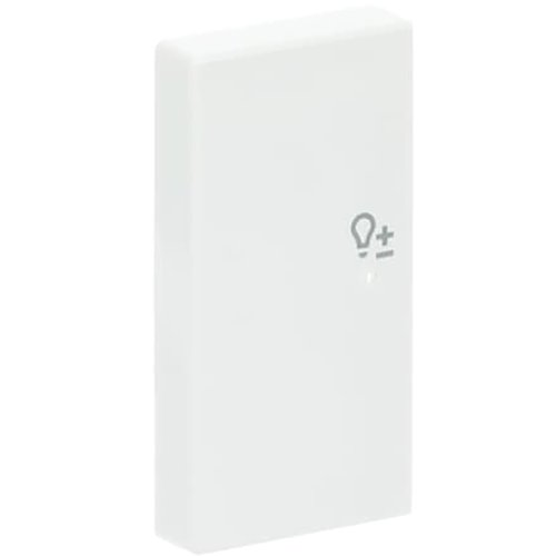 ABB Busch-Jaeger FaH bedieningswip links 2-v dimmer s-st - 9paa00000273835 - 20090415