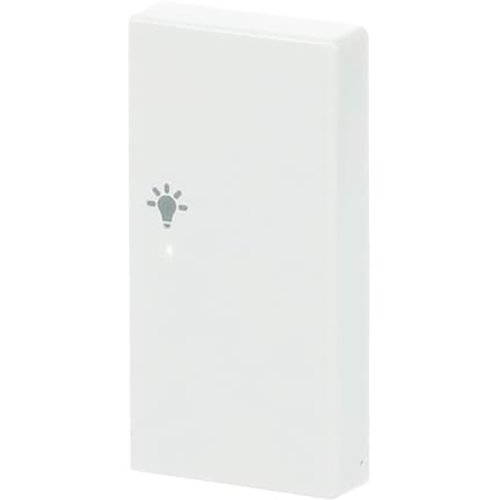ABB Busch-Jaeger FaH bedieningswip rechts 2-v licht s-st - 9paa00000273838 - 20090418