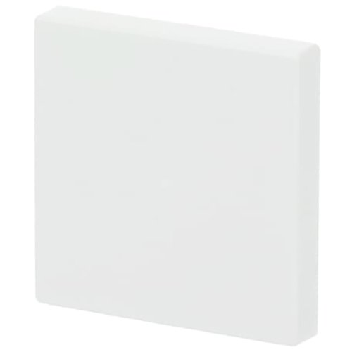 ABB Busch-Jaeger FaH bedieningswip 1v f-matwit - 9paa00000273858 - 20090522