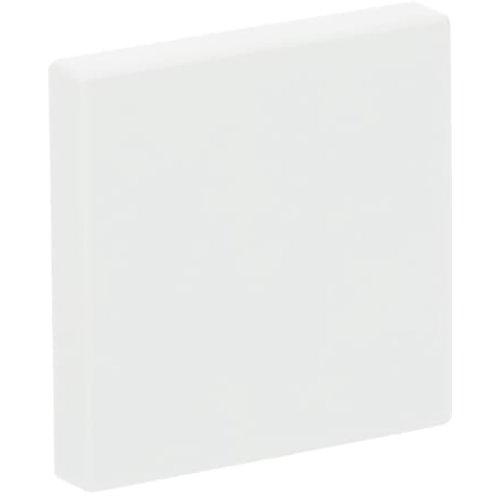 ABB Busch-Jaeger FaH bedieningswip 1v f-matwit - 9paa00000273859 - 20090522