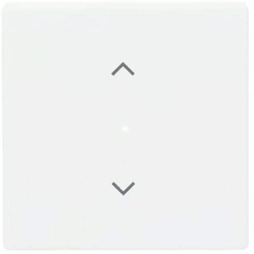 ABB Busch-Jaeger FaH bedieningswip 1v jaloezie f-matwit - 9paa00000273861 - 20090524